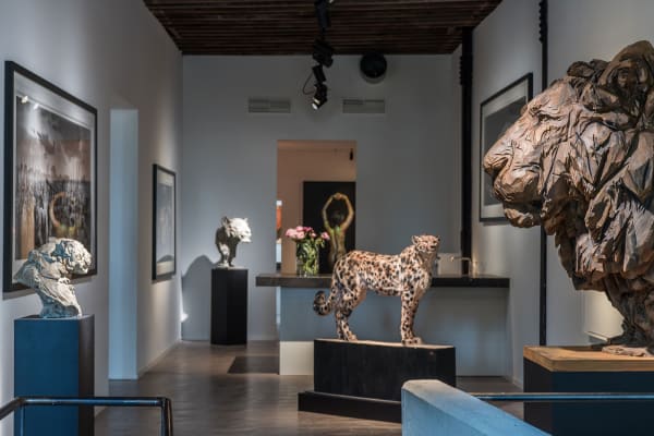 Gallerij Driesluyten 21