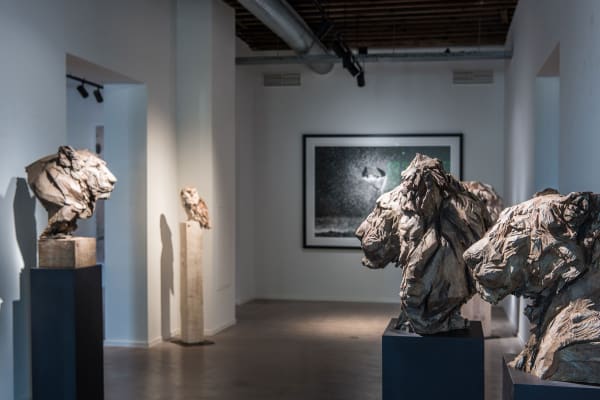 Gallerij Driesluyten 22