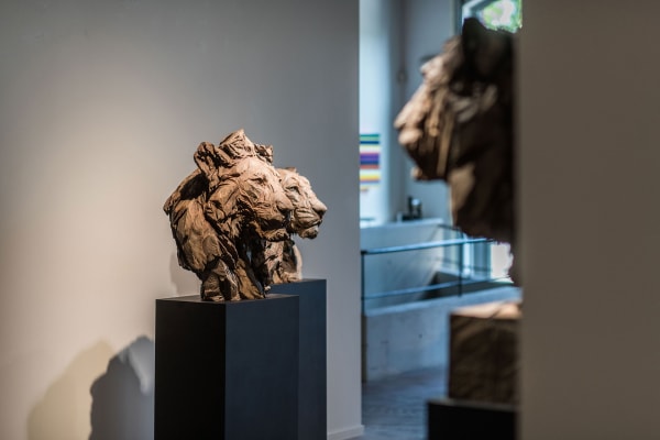 Gallerij Driesluyten 27