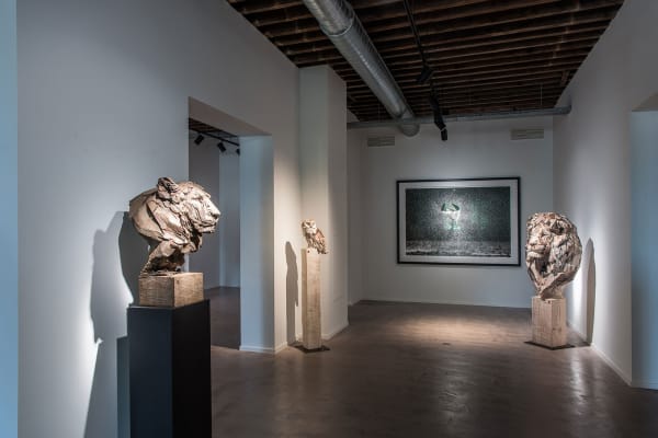 Gallerij Driesluyten 3