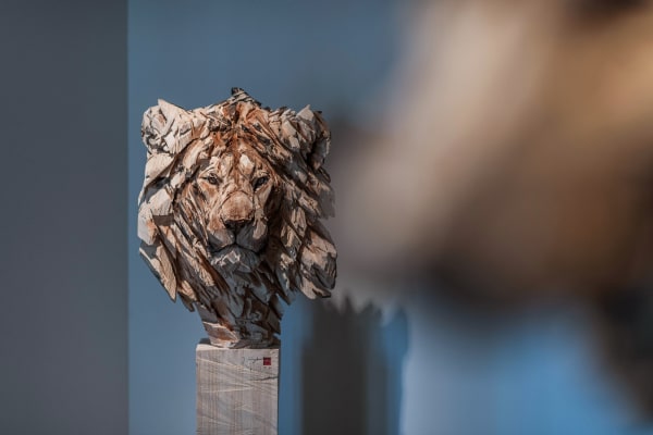 Gallerij Driesluyten 43