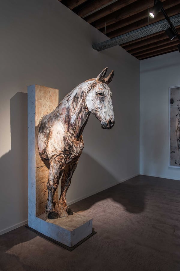 Gallerij Driesluyten 7