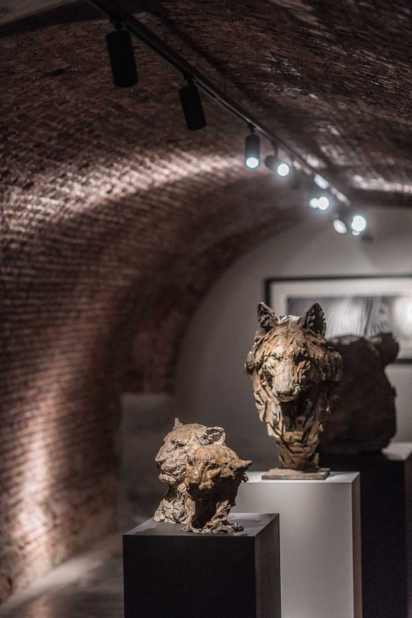 Gallerij Driesluyten 83