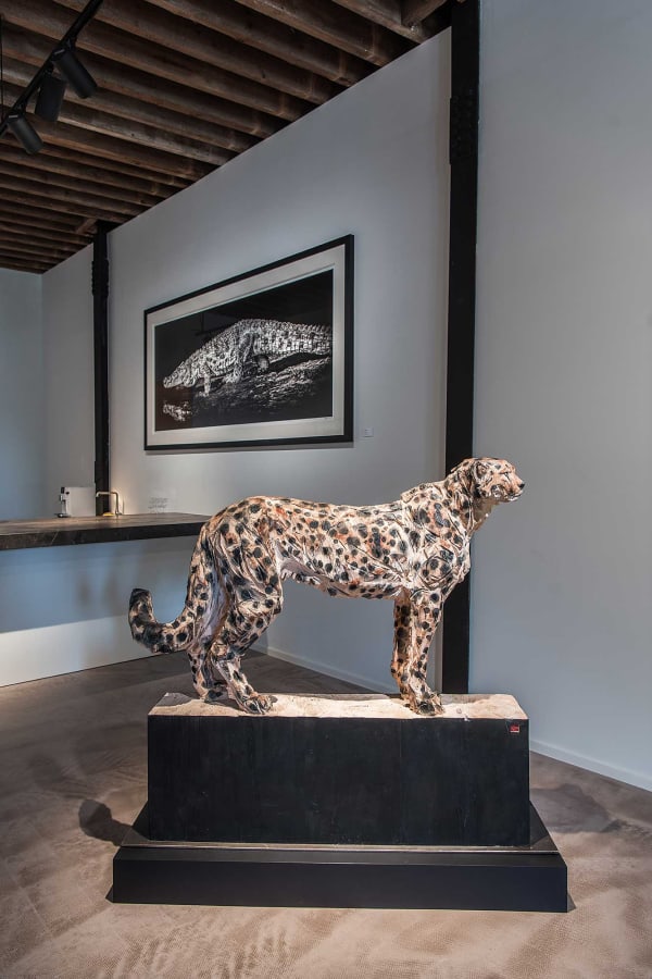 Gallerij Driesluyten 9