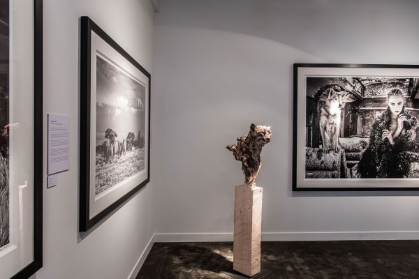 Gallerijaangepast Driesluyten 39