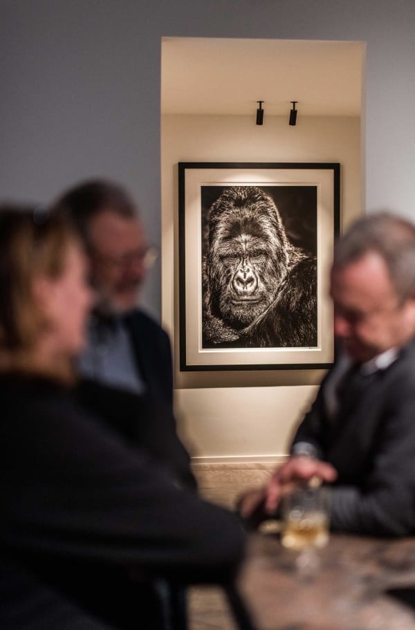 Davidyarrow2021 Driesluyten 18 Scaled