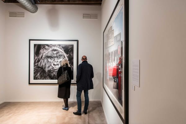 Davidyarrow2021 Driesluyten 22