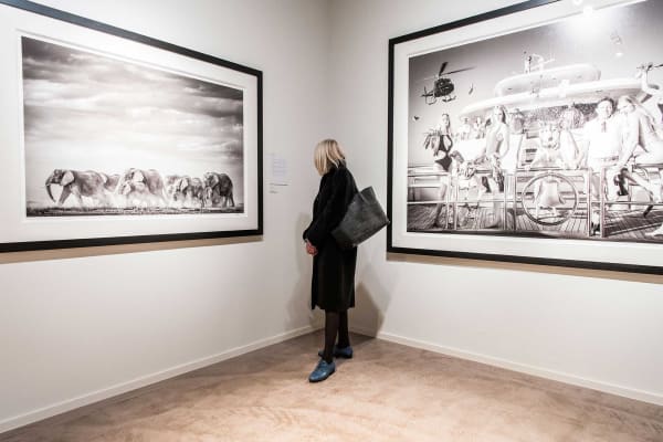 Davidyarrow2021 Driesluyten 23