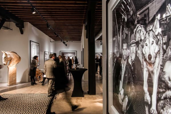 Davidyarrow2021 Driesluyten 26