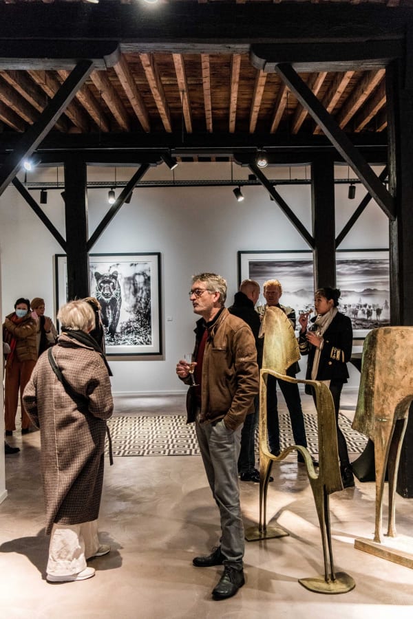 Davidyarrow2021 Driesluyten 30 Scaled