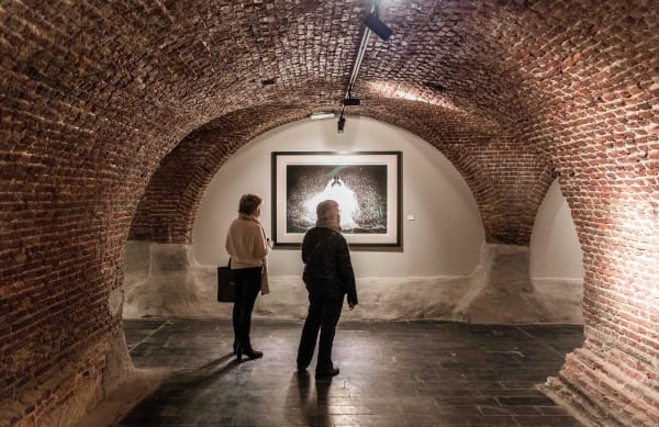 Davidyarrow2021 Driesluyten 36