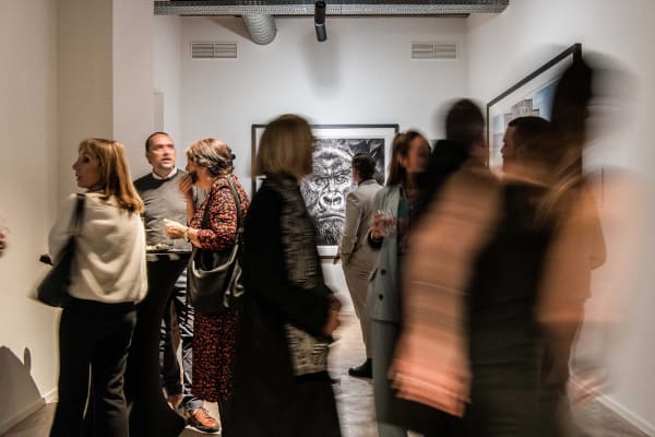 Davidyarrow2021 Driesluyten 38