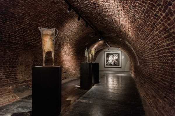 Davidyarrow2021 Driesluyten 4