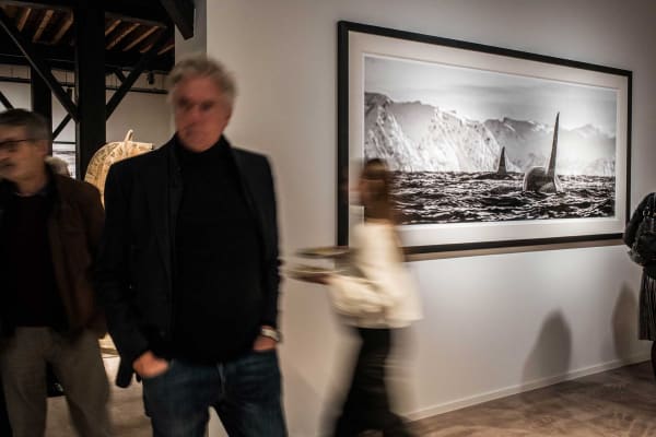 Davidyarrow2021 Driesluyten 40