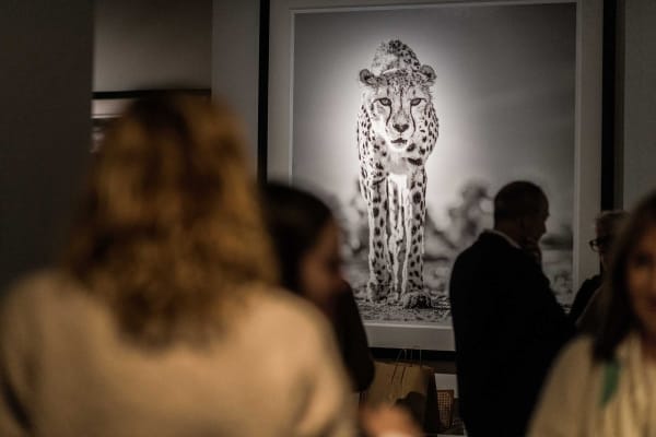 Davidyarrow2021 Driesluyten 44