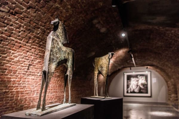 Davidyarrow2021 Driesluyten 5