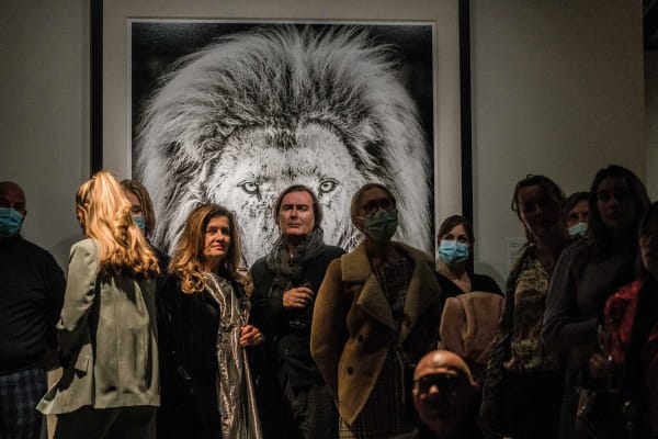 Davidyarrow2021 Driesluyten 56