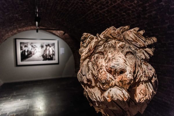 Davidyarrow2021 Driesluyten 6