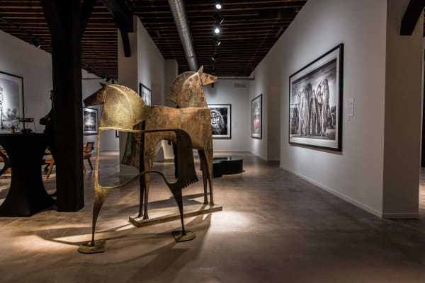 Davidyarrow2021 Driesluyten 8