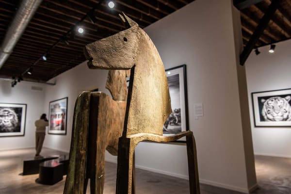 Davidyarrow2021 Driesluyten 9