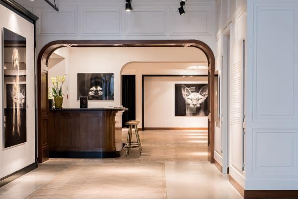 Gallerijvincent Driesluyten14