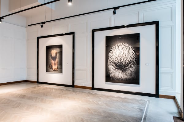 Gallerijvincent Driesluyten16