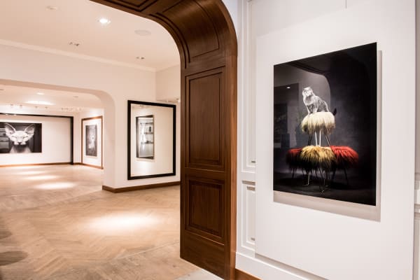 Gallerijvincent Driesluyten17