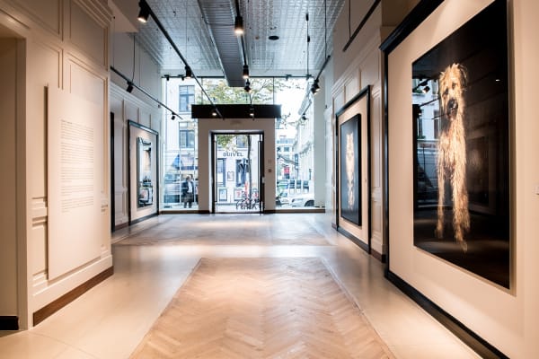 Gallerijvincent Driesluyten18