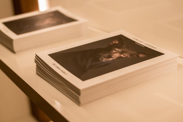 Gallerijvincent Driesluyten19