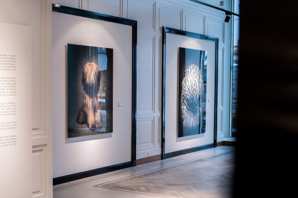 Gallerijvincent Driesluyten22