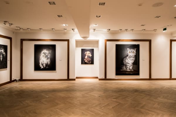 Gallerijvincent Driesluyten25