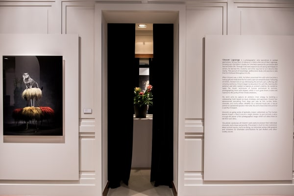 Gallerijvincent Driesluyten33