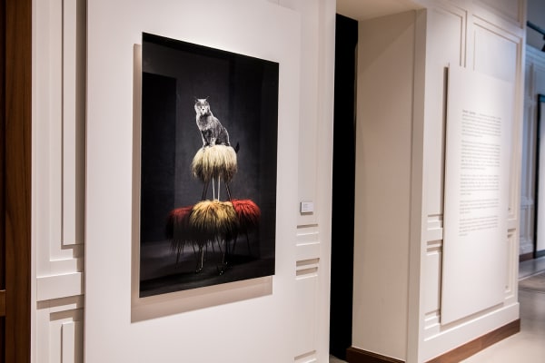 Gallerijvincent Driesluyten35