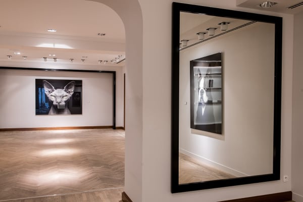 Gallerijvincent Driesluyten7