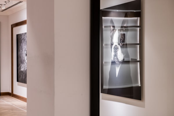 Gallerijvincent Driesluyten8