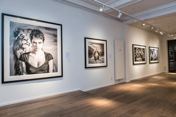 Yarrow2019 Driesluyten1