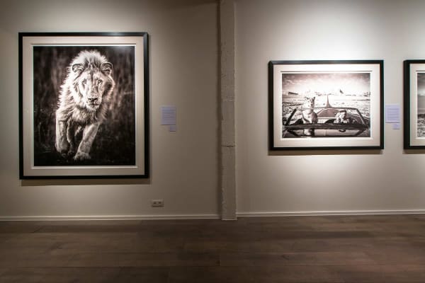 Yarrow2019 Driesluyten10