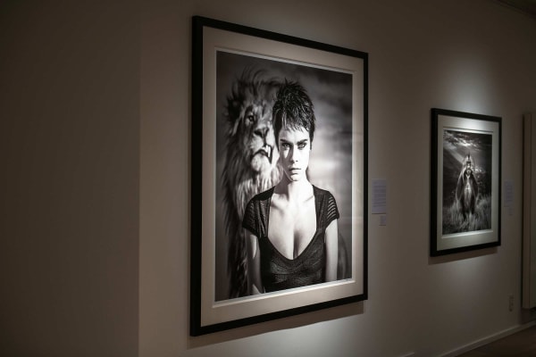 Yarrow2019 Driesluyten20