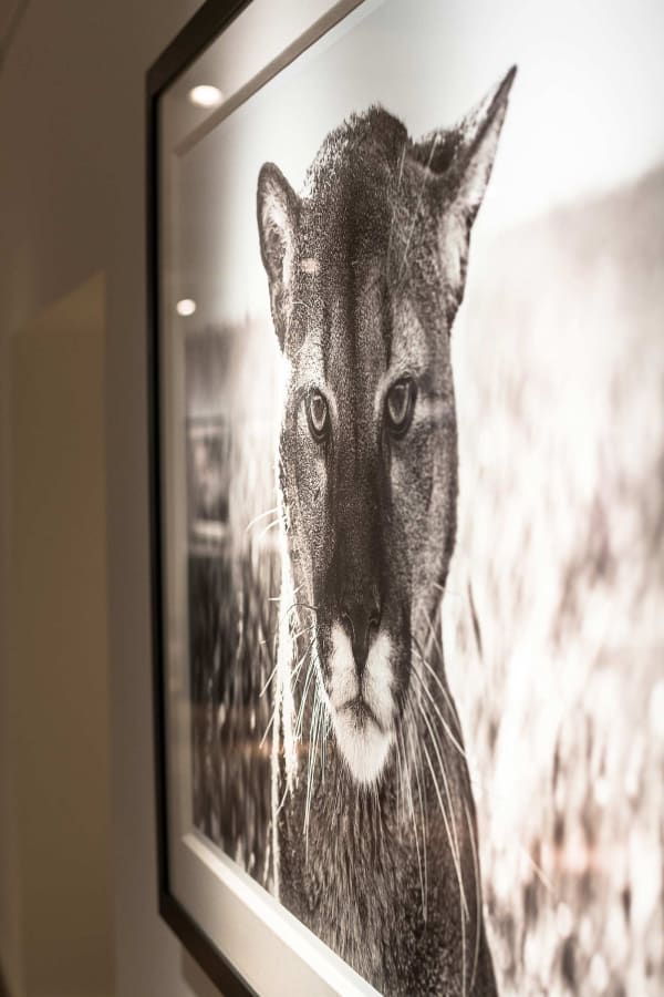 Yarrow2019 Driesluyten30