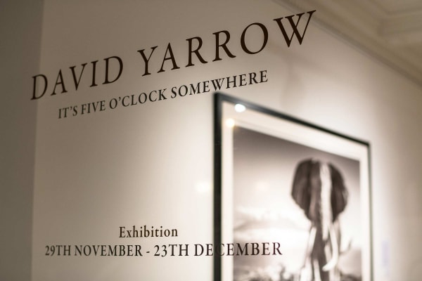 Yarrow2019 Driesluyten36