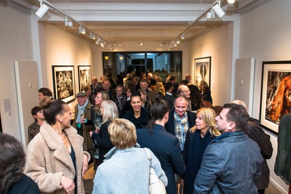 Yarrow2019 Driesluyten58