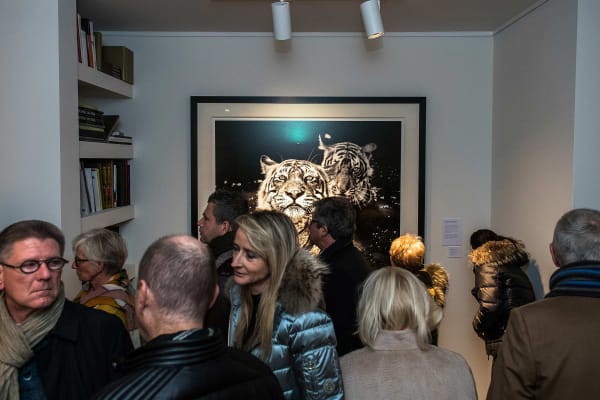 Yarrow2019 Driesluyten59