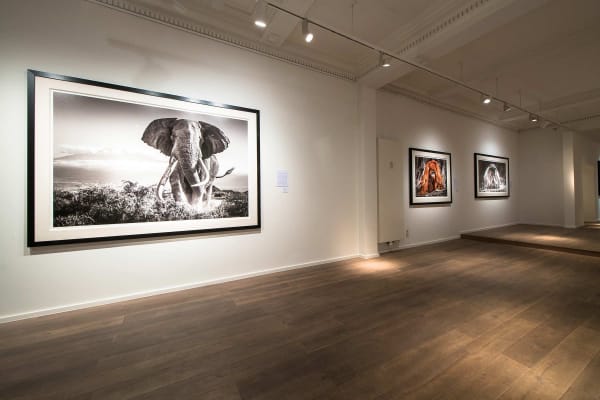 Yarrow2019 Driesluyten6