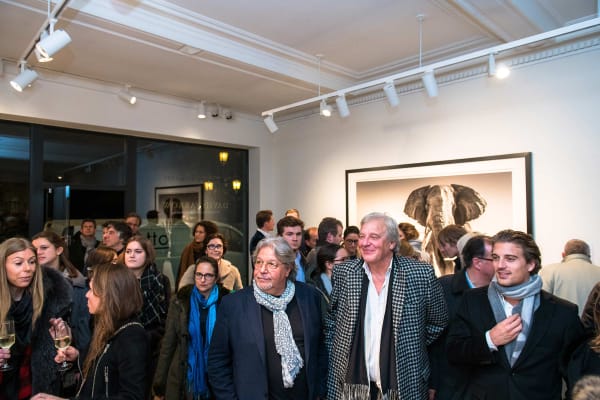 Yarrow2019 Driesluyten60