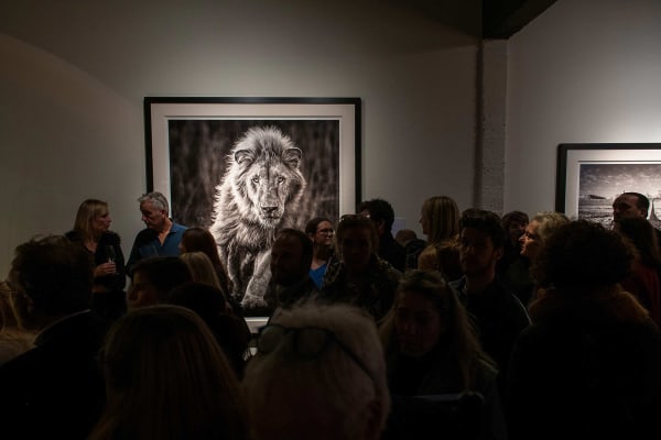 Yarrow2019 Driesluyten67