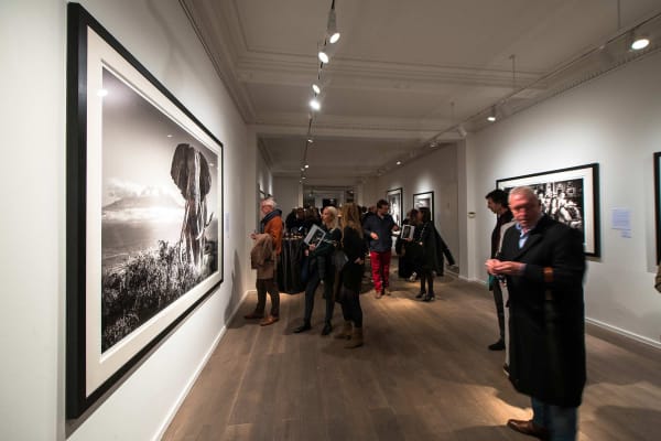 Yarrow2019 Driesluyten75