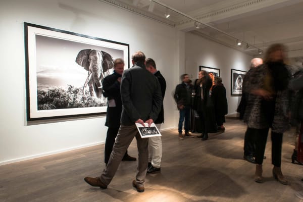 Yarrow2019 Driesluyten77