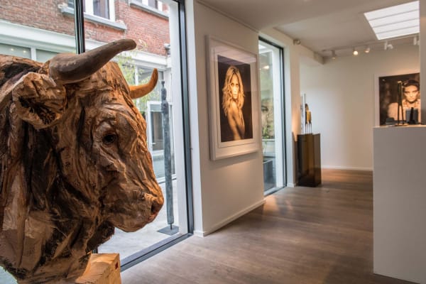 1307Gallerij Driesluyten22 1