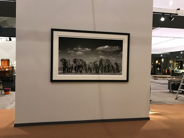 Img 2235 E1489673490705