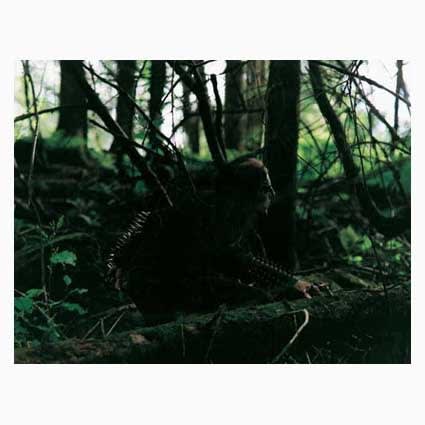 TORBJØRN RØDLAND, 'Frost no. 2', 2001, Framed C-print, 60 x 76 cm, Ed: 1/5